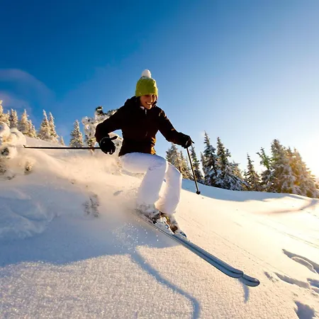 Komfort Royal Windberger